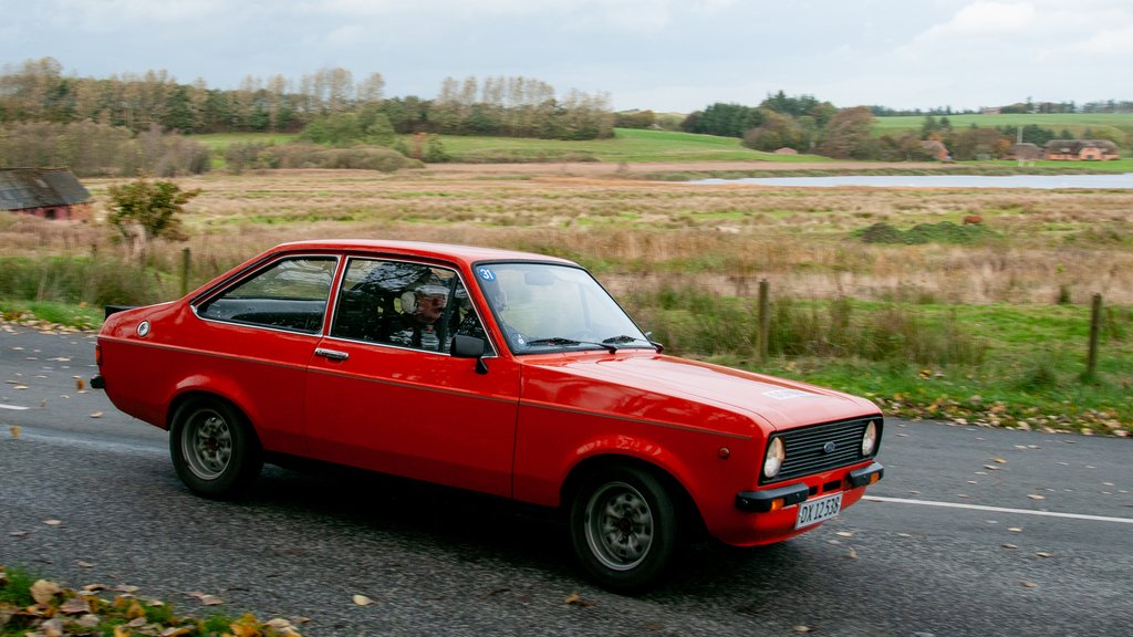 Guldmedaljevingerne, Michael Kristiansen, Greve / Michael Andersen, Brøndby, runder her et sving ved i deres Ford Escort Ford Escort 1600, årg. 1975
(Foto: rallypics.dk-Viggo Johansen)